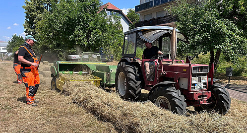 Foto zum Thema Klimaschutz in der Kommune: Zu sehen sind Mitarbeitende des Bauhofs in Bad Soden-Salmünster, die mit einem Trecker das Heu von der Blühwiese ernten.